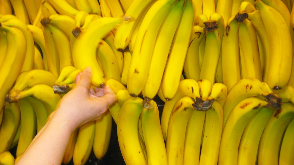 Bananas Bananas