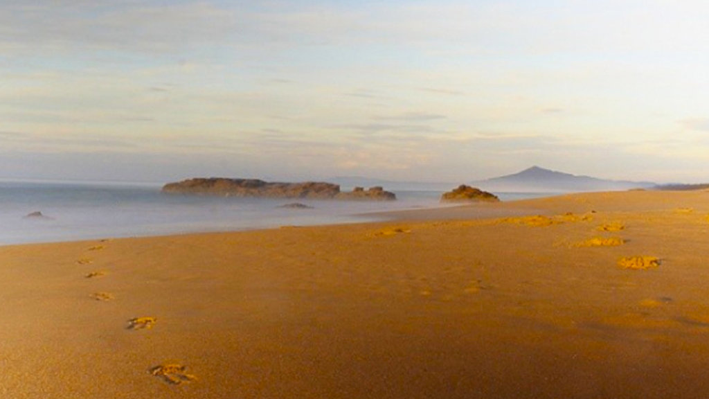 Bongil Bongil National Park Bongil Bongil National Park