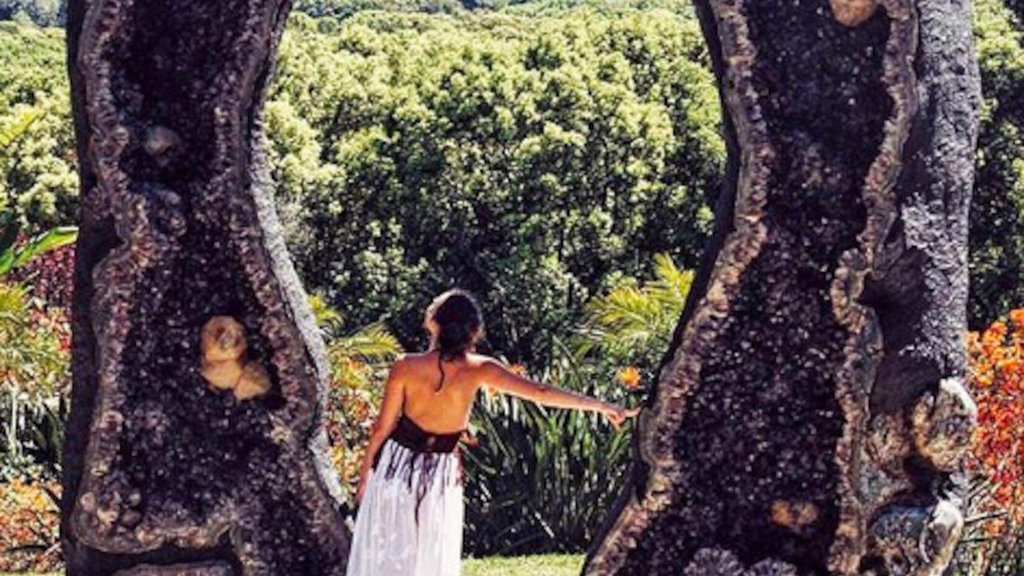 Crystal Castle and Shambhala Gardens Crystal Castle and Shambhala Gardens