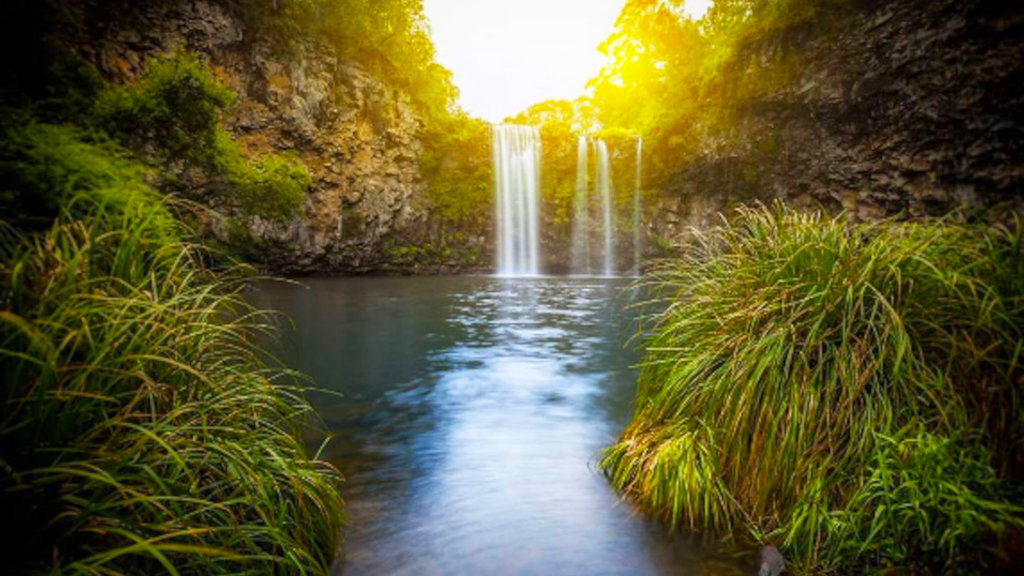 Dangar Falls, Dorrigo National Park Dangar Falls, Dorrigo National Park