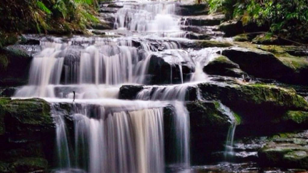 Leura Cascades, Blue Mountains Leura Cascades, Blue Mountains