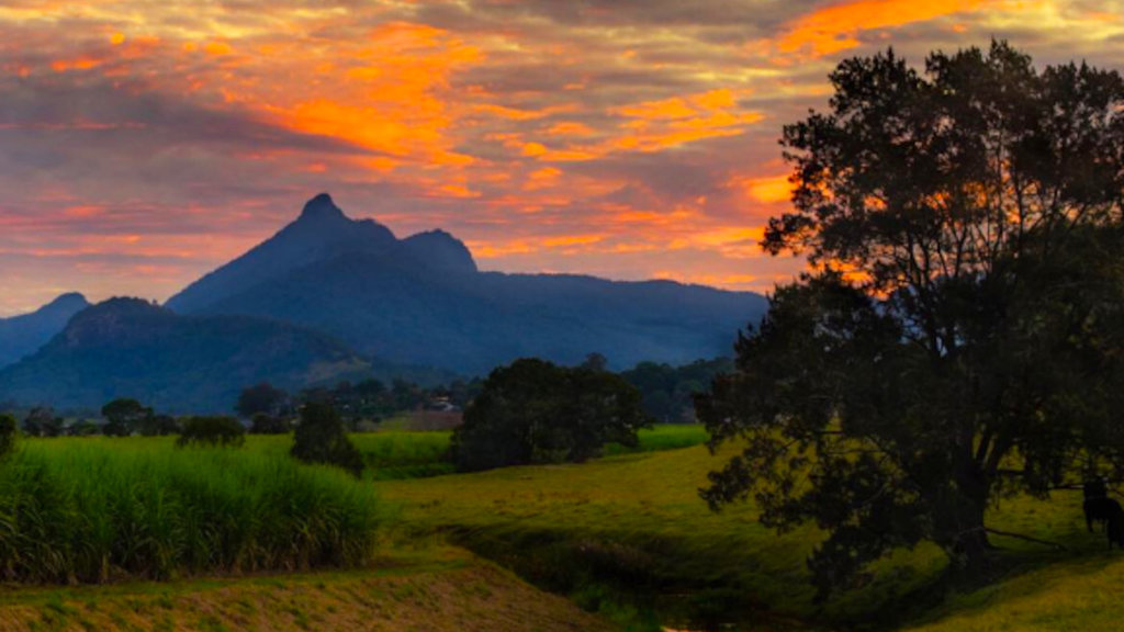 Mt Warning Mt Warning