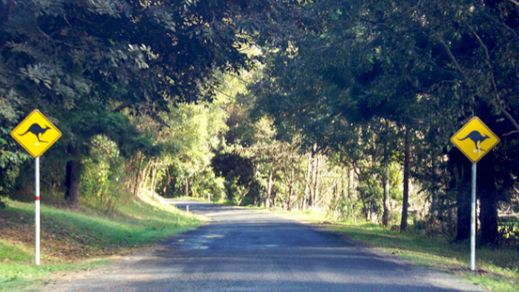 Mt Warning Mt Warning