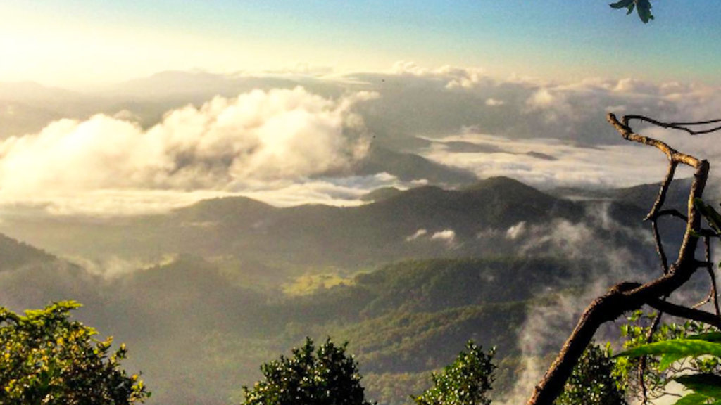 Mt Warning Mt Warning