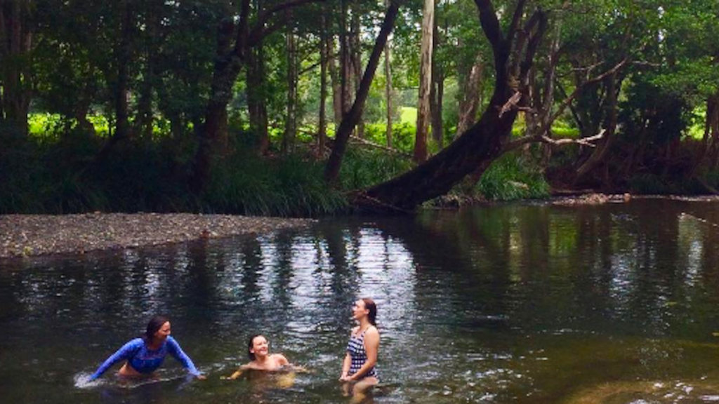 Never Never Creek, Bellingen Never Never Creek, Bellingen