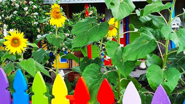 Nimbin Nimbin