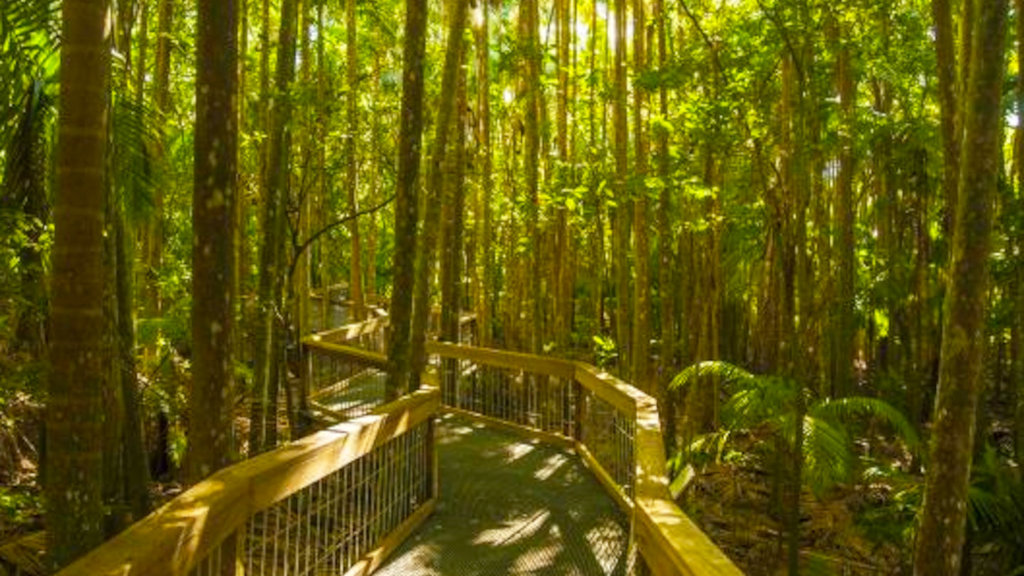 things to do in Port Macquarie things to do in Port Macquarie