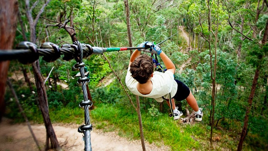 Gold Coast Theme Parks Gold Coast Theme Parks