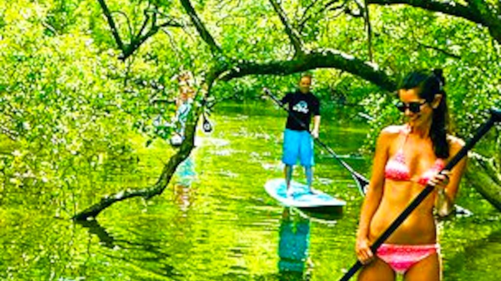 Byron Bay Stand up Paddle Byron Bay Stand up Paddle