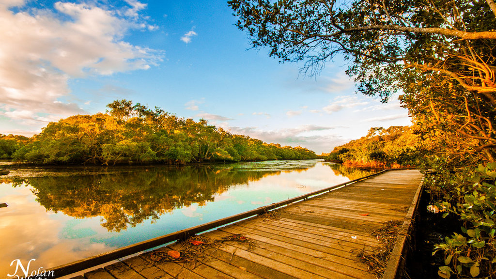 Things to do in Tweed Heads Things to do in Tweed Heads