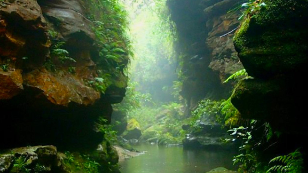 Borungbuggie Canyon, Wollemi National Park, Australia Borungbuggie Canyon, Wollemi National Park, Australia