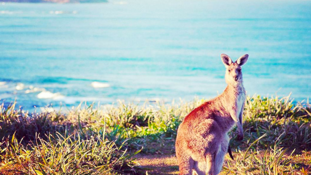 Yuraygir National Park Yuraygir National Park